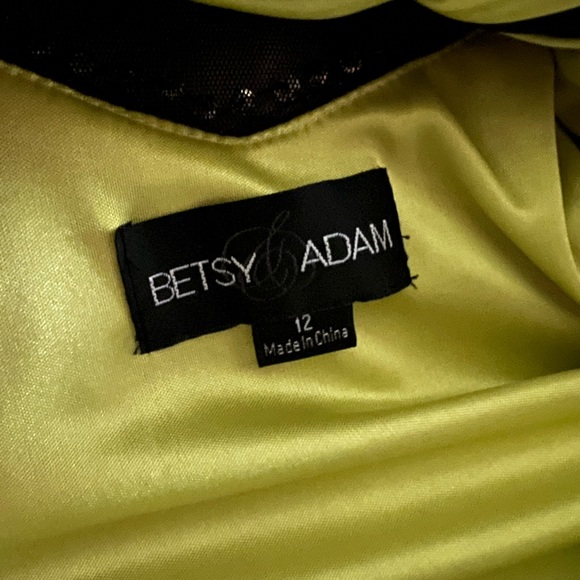 Betsy & Adam Formal Dress Size 12 - Picture 12 of 16